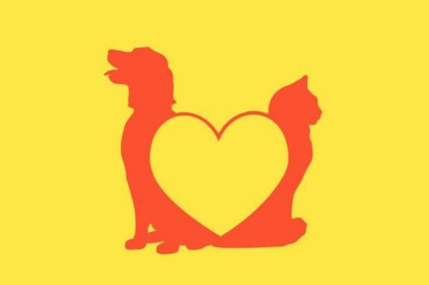 Esta ilustración te muestra tres alternativas: el perro, el gato y el corazón. Para que conozcas tu verdadera forma de ser, dinos qué viste primero. (Foto: MDZ Online)