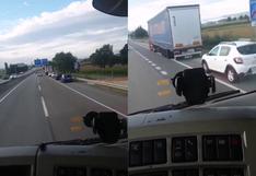 El video viral de un camionero que se burla de conductores atrapados en un falso embotellamiento
