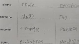 La curiosa respuesta de un niño en un examen de lenguaje sobre sinónimos y antónimos