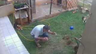 Hombre quiso ‘encargarse’ de un hormiguero en su patio y terminó ocasionando una gran explosión
