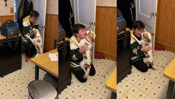 Un video viral muestra la insólita reacción de un perro al ver por primera vez en meses a su persona favorita al llegar a casa. | Crédito: u/Fnmb-1978 / Reddit.