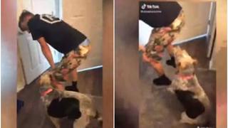 Sacó los pasos prohibidos: perro la ‘rompe’ en TikTok bailando reggaetón hasta el suelo [VIDEO]