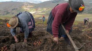 CONSULTA AHORA, Bono de 760 soles de Zona Rural: cómo y dónde retirar subsidio en tiempos de pandemia en el Perú