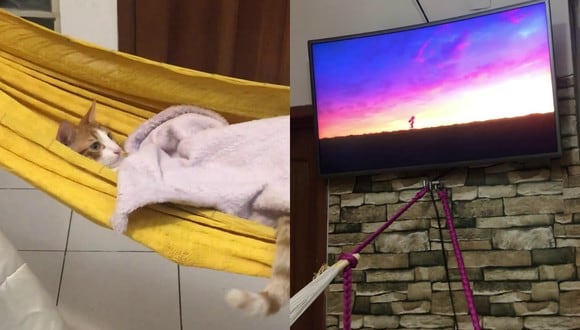 Un video viral muestra cómo un gato se da la gran vida en casa descansando en una hamaca cubierto con una manta y viendo sus películas favoritas. | Crédito: K Ximena Rosciano Tello / Facebook.