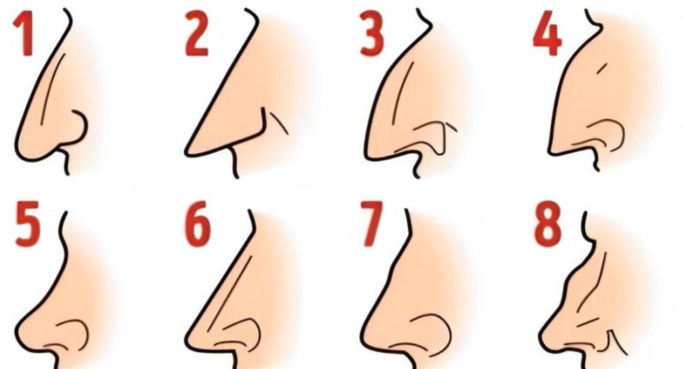➤ Test osobowości: W zależności od kształtu nosa poznasz swoją największą zaletę lub wadę |  Meksyk