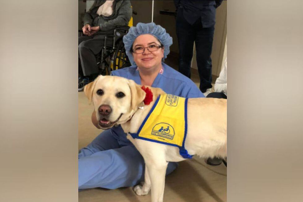  La historia de Wynn no deja de causar sensación en la red social. (Facebook: Susan Ryan) 