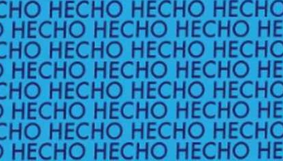 En esta imagen está la palabra ‘TECHO’. Tu tarea consiste en encontrarla. (Foto: MDZ Online)