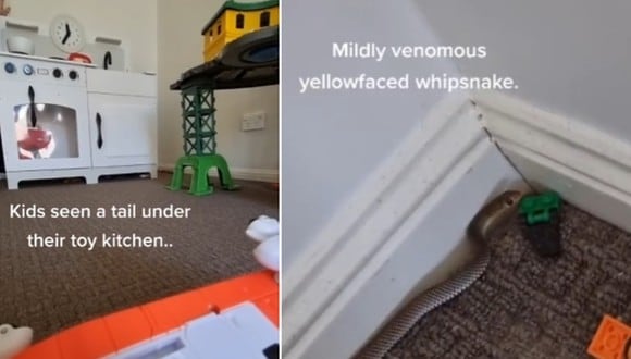 Una madre llamó la atención en Internet con su reacción al encontrar una serpiente venenosa en el cuarto de juguetes de sus hijos. (Foto: @moistzebra_ / TikTok)