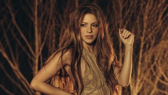 Shakira se mudó a Miami, dejando atrás España y todos los recuerdos de Gerard Piqué (Foto: Shakira / Instagram)