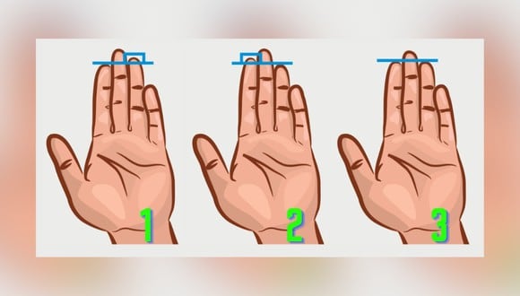 Descubre tus mayores virtudes según el tamaño de tu dedo anular en este test visual (Foto: GenialGuru).