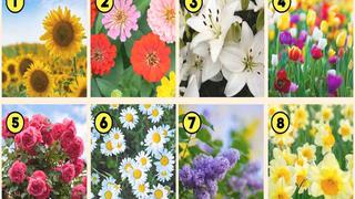 Test visual: la flor que elijas revelará algunos rasgos escondidos de tu personalidad