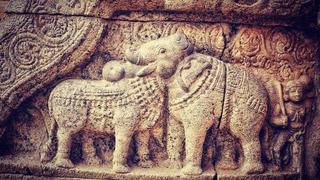 Responde el reto visual: ¿ves un elefante o un toro en el bajorrelieve hindú?