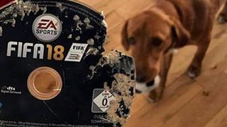 FIFA 18: su perro destruyó el juego y recibió una sorpresa de Amazon