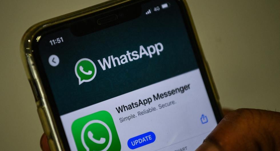 WhatsApp Business |  Find out what it is and everything that WhatsApp Premium has to offer you |  technology |  Features |  Tools |  Applications |  nda |  nnni |  sports game