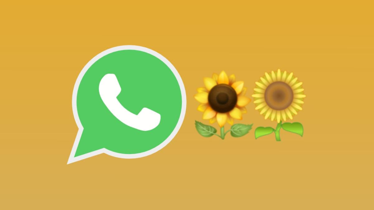 WhatsApp | qué significa el emoji del girasol y por qué se ha vuelto  popular en septiembre | Emoticones | Meaning | Significado | Primavera |  Flores | Amarillas | nnda | nnni | DEPOR-PLAY | DEPOR