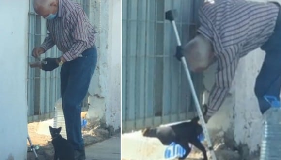 De acuerdo a un video viral, el anciano le deja comida y agua a la gatita callejera todos los días. (Foto: @losivanes / TikTok)