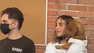 Puntos extras: lleva perrito a la escuela y expone mientras lo carga como bebé [VIDEO]