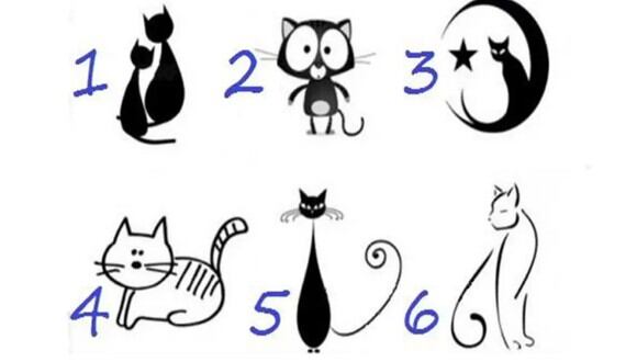 TEST VISUAL | En esta imagen se pueden apreciar varios gatos. Todos diferentes. (Foto: namastest.net)