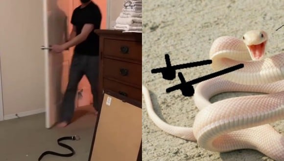Un video viral en el que una mujer le hizo creer a su esposo que una serpiente había ingresado a su casa te hará reír a carcajadas. | Crédito: @lowsena / Instagram / Bored Panda.