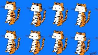 En solo 20 segundos: ¿eres capaz de hallar al tigre diferente a los demás de este reto viral? [FOTOS]