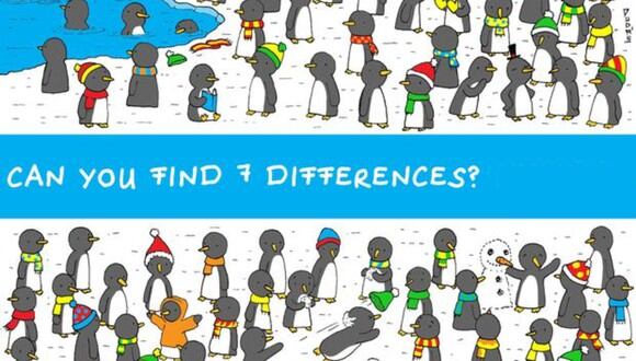 Reto viral: solo si eres meticuloso encontrarás las 7 diferencias en la imagen de los pingüinos (Foto: Difusión).