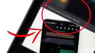 WhatsApp: qué significa “reenviado muchas veces” en la app