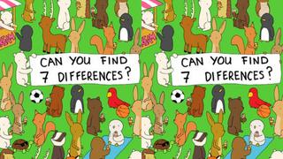 Reto viral del 2021: Encuentra las 7 diferencias entre estas dos ilustraciones de un picnic de animales