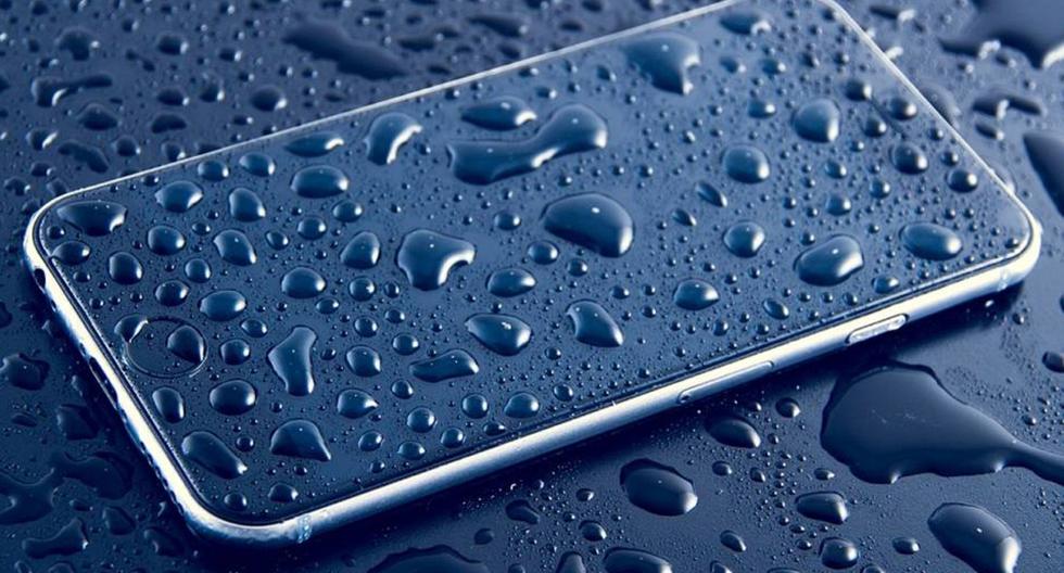 androide |  Qué no debes hacer si tu celular cae al agua |  teléfono inteligente |  nda |  nnni |  DEPOR-PLAY