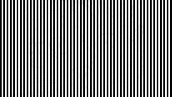 En esta prueba visual, localiza al animal oculto detrás de las líneas blancas y negras dentro de la imagen. (Foto: Brightside.com)