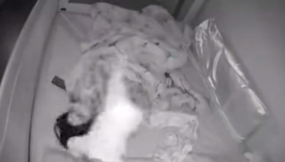 Video muestra lo difícil que puede ser dormir cuando se es madre. (Foto: u/jayson / Reddit)