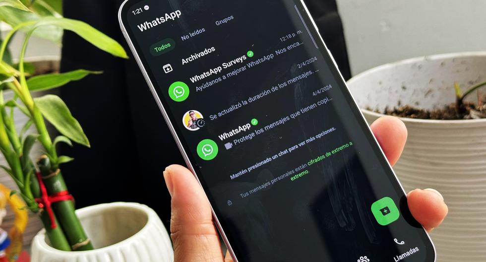 Jak aktywować nowy „tryb ciemny” w WhatsApp: Wykonaj następujące kroki |  Zabawa sportowa
