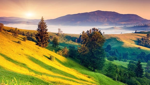 Frases de ‘buenos días’ para este domingo 17 de julio: mensajes, imágenes y reflexiones para enviar. (Foto: Internet)