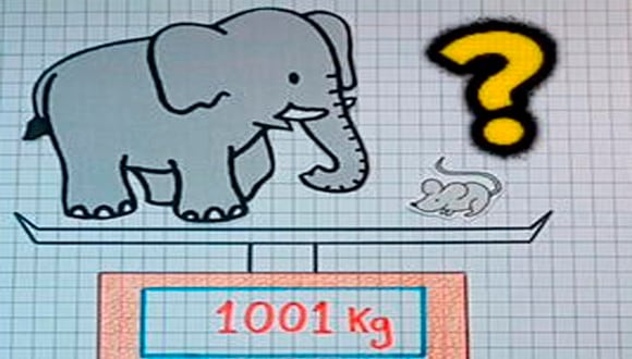 Determinar de manera correcta cuál es el peso del ratón y resuelve el acertijo visual.| Foto: genial.guru