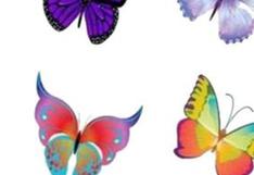 Elige una de las mariposas y descubre cómo eres realmente gracias a este test de personalidad