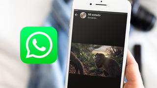 Así puedes colocar videos en tus estados de WhatsApp: aprende cómo