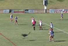 Un travieso canguro interrumpe partido de rugby femenino en Australia
