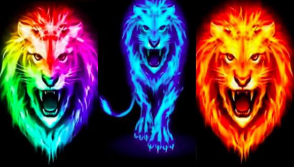 Elige uno de los 3 leones y determina cómo es tu personalidad en el siguiente test visual | Foto: Internet