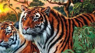 Busca ahora todos los tigres que hay en la imagen: ¿cuántos hay en este reto viral matemático ‘imposible’? [FOTO]