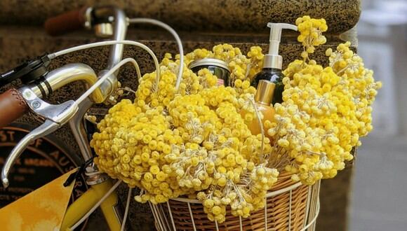 FRASES | Si piensas regalar flores amarillas este 21 de marzo, es esencial que lo hagas junto a una frase especial. (Foto: Pexels)