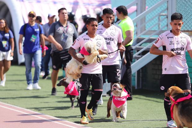 Sport Boys apoyó campaña de adopción. (Foto: Jesus Saucedo /@photo.gec)