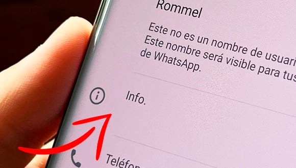 ¿Sabes realmente cómo poner tu Info de WhatsApp en blanco? Usa este increíble truco. (Foto: Depor - Rommel Yupanqui)