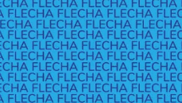 En esta imagen está la palabra ‘FECHA’. Tu misión consiste en hallarla. (Foto: MDZ Online)