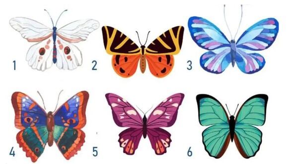 TEST VISUAL | En esta imagen hay bastantes mariposas. Tienes que elegir una. (Foto: namastest.net)