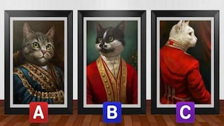 El tipo de líder que eres será revelado cuando indiques cuál es tu gato favorito