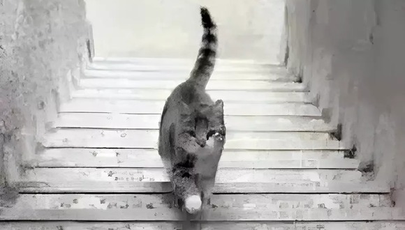 Test de personalidad: descubre si eres un genio con solo decirnos si el gato sube o baja las escaleras (Foto: GenialGuru).