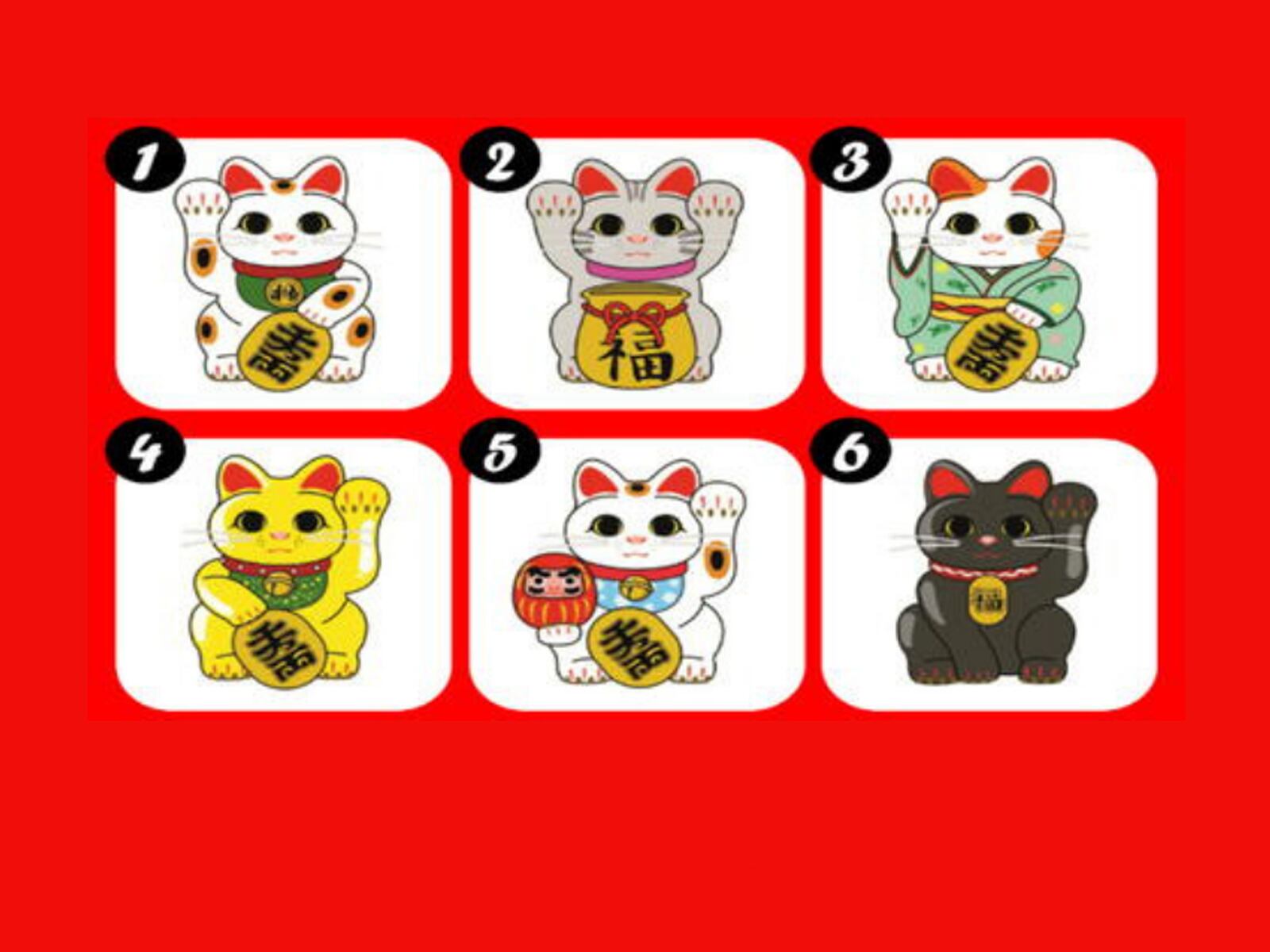 TEST DE PERSONALIDAD | Elige un gato entre nuestras opciones y descubre qué revelaciones tiene para tu vida.