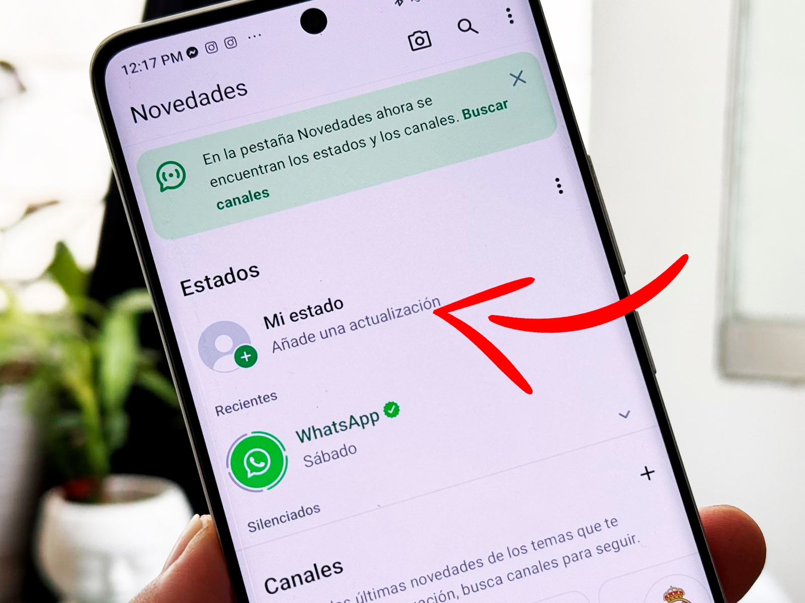 WHATSAPP | Desde ahora puedes recuperar todos los Estados de WhatsApp que subiste a la app. Aquí el truco. (Foto: Depor - Rommel Yupanqui)