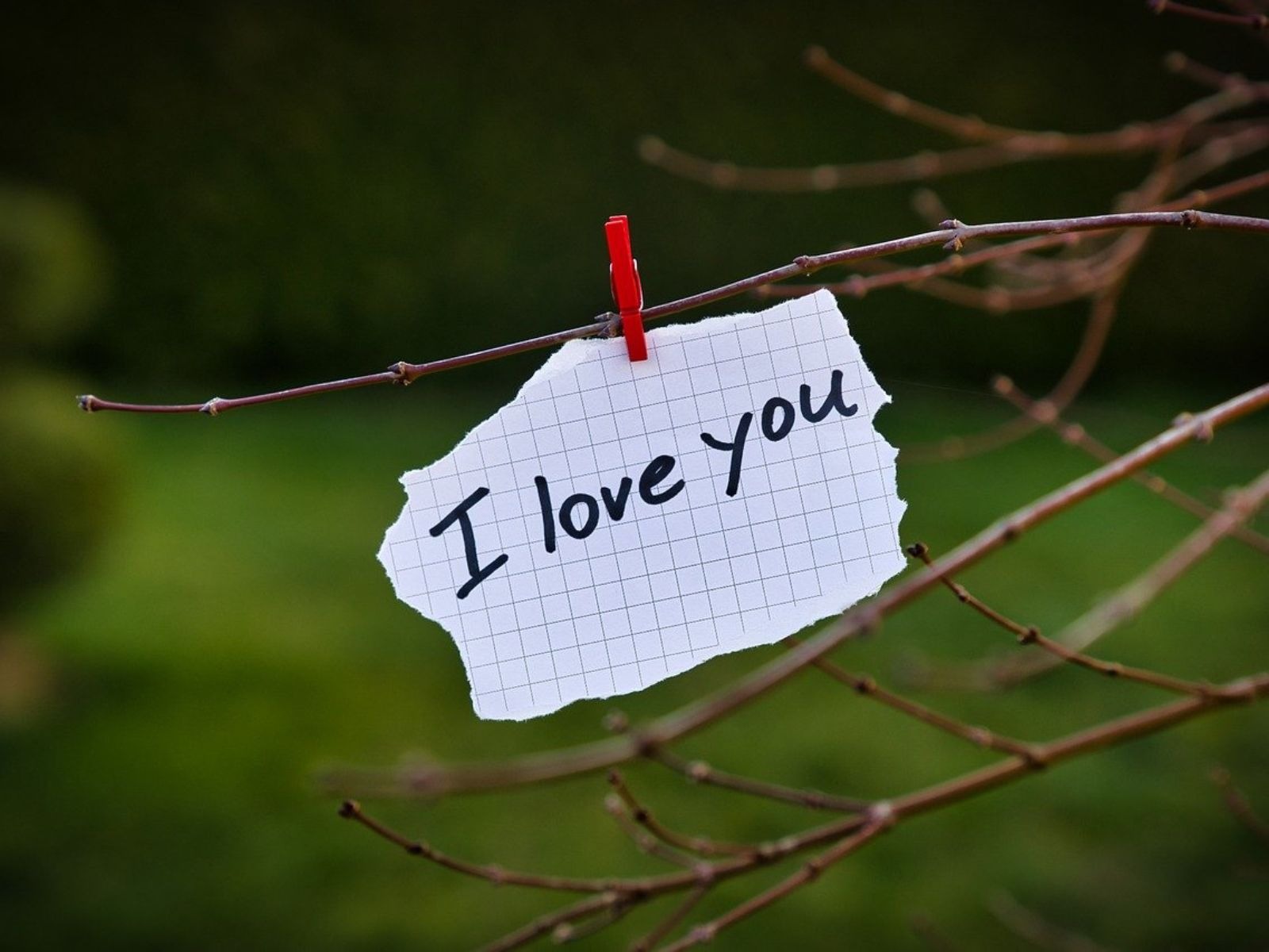 Short and Sweet Valentine's Day Quotes to Share With the One You Love | Images: Pixabay