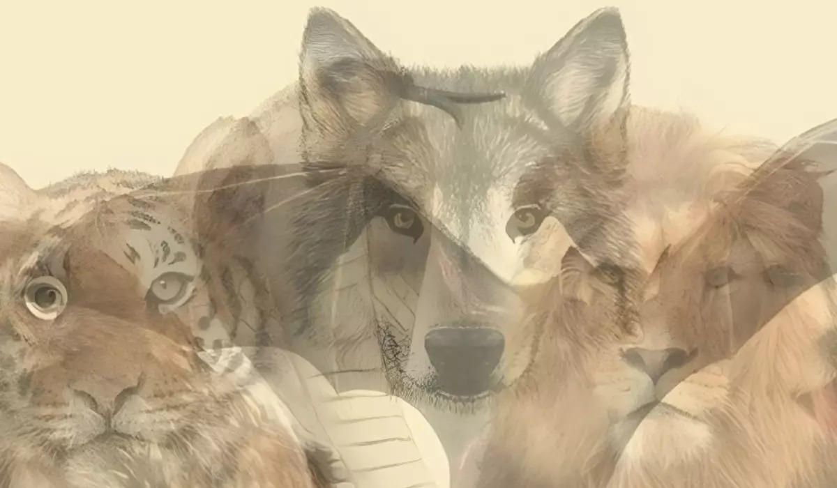 Test de personalidad: el primer animal que veas en esta imagen revelará cuáles son tus mayores virtudes (Foto: Pinterest).