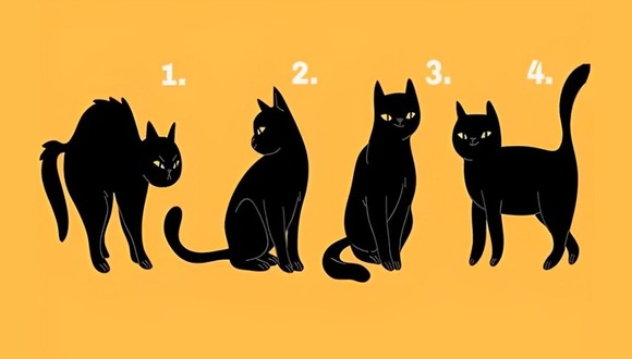 Test de personalidad: elige uno de los gatos en esta ilustración para descubrir cómo te ven las personas (Foto: GenialGuru).